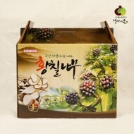 [부모님 효도선물이 팡팡]황칠나무즙1박스(100ml x 60p2개월분)